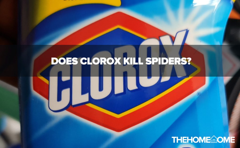 Does Clorox Kill Spiders?