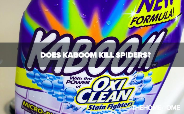 Does Kaboom Kill Spiders?
